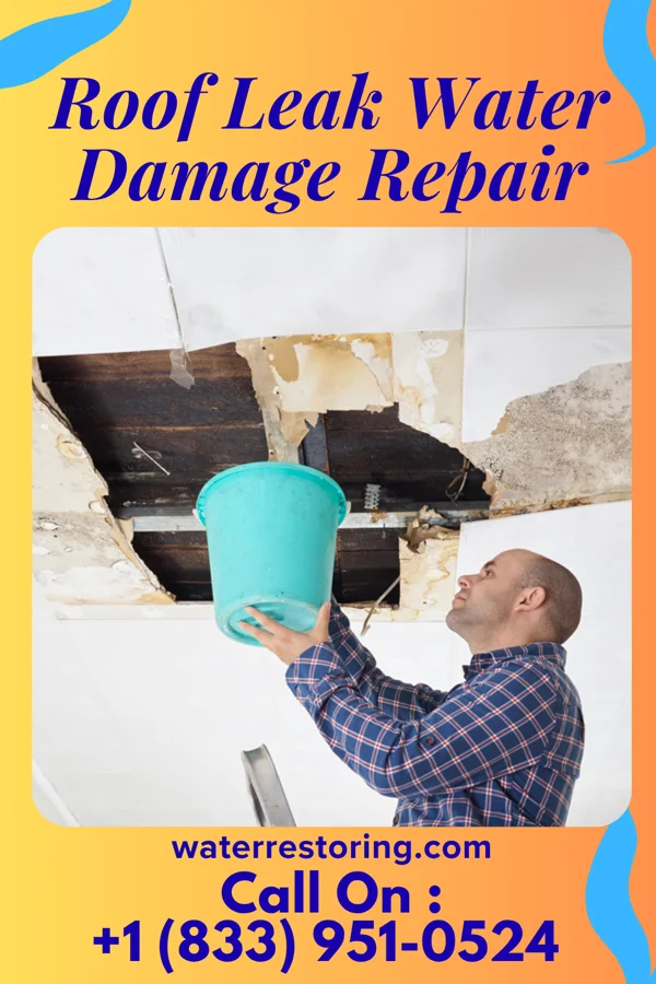 Roof Leak Water Damage Repair in San Juan, TX