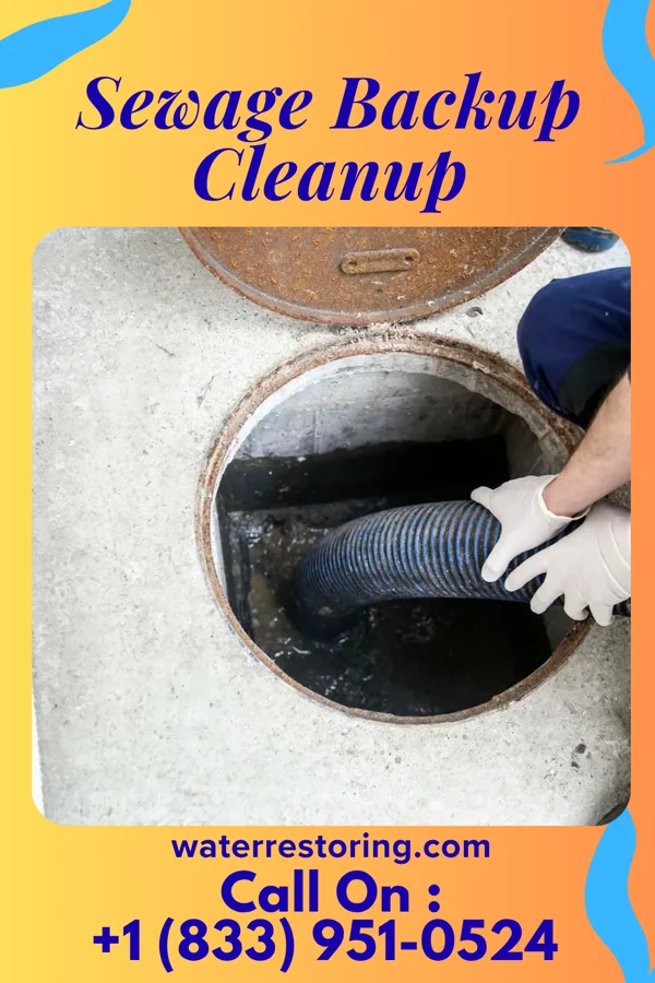 Sewage Backup Cleanup in San Juan, TX